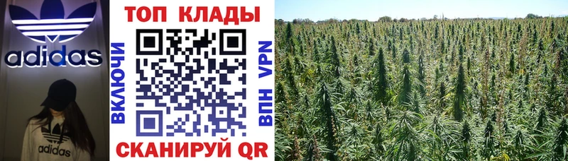 Где купить наркоту Гусь-Хрустальный СК  МАРИХУАНА  Мефедрон  ГАШ  Кокаин 