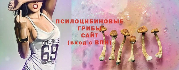 кокс Ельня