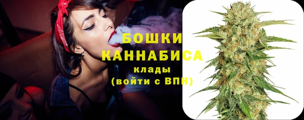 шишки Елабуга