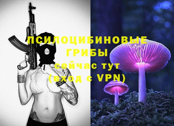 мескалин Елизово