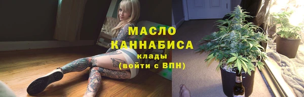 кокс Ельня