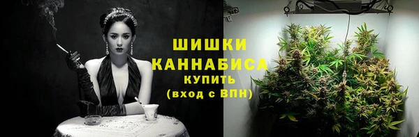 шишки Елабуга