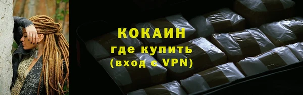 кокс Ельня