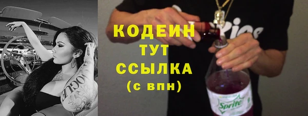 кокс Ельня