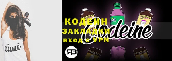 шишки Елабуга
