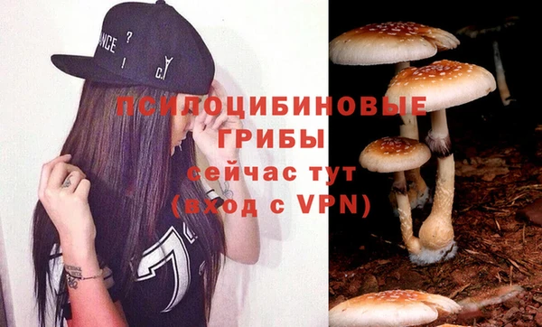 кокс Ельня