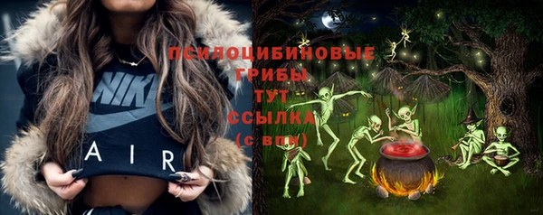 шишки Елабуга