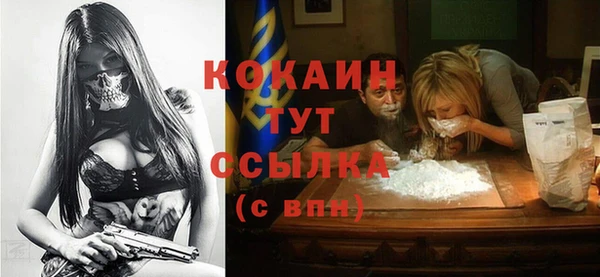 кокс Ельня