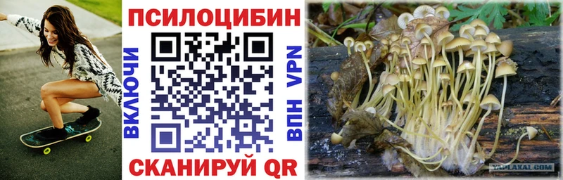 Галлюциногенные грибы GOLDEN TEACHER  купить   Гусь-Хрустальный 